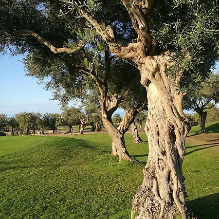 فيلة Pinecliff Karpasa